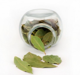 bay leaf