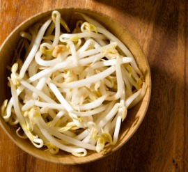 bean sprout
