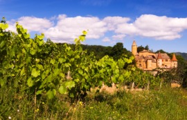 Beaujolais
