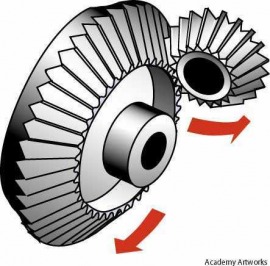 bevel gear