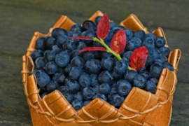 bilberry