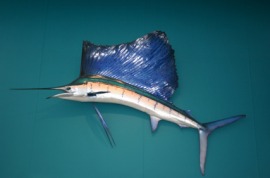 billfish