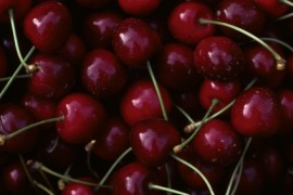 Bing cherry
