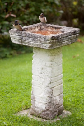 birdbath