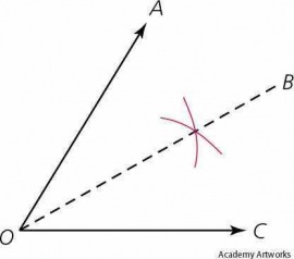 bisector