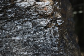 bituminous coal