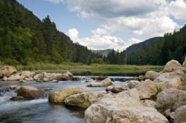 Black Hills