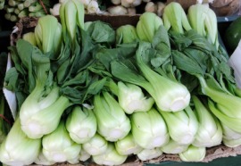 bok choy