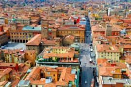 Bolognese