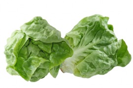 Boston lettuce