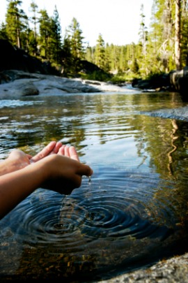 branch water