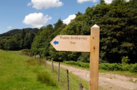 bridle path