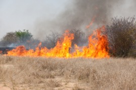 brush fire