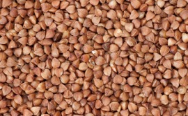 buckwheat