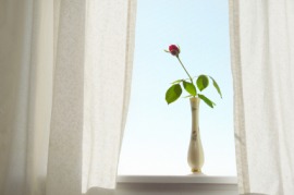 bud vase