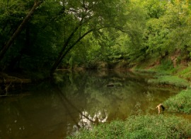 Bull Run