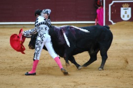 bullfight