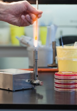 Bunsen burner