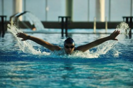 butterfly stroke