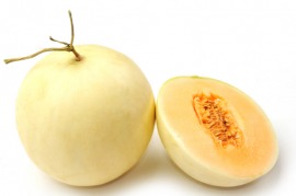 cantaloupe