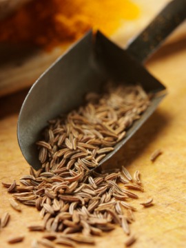 caraway