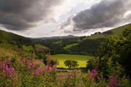 Carmarthenshire
