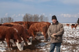 cattleman
