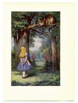 Cheshire cat