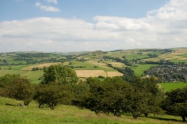 Cheshire