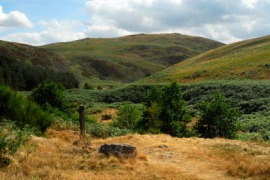 Cheviot Hills