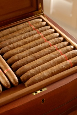 cigar