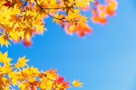 cloudless