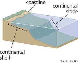 continental shelf