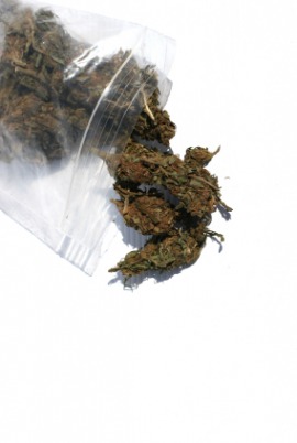 dagga