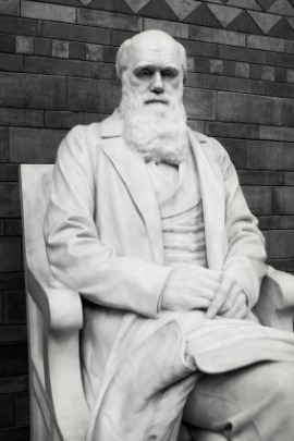 Darwin