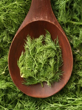 dill weed
