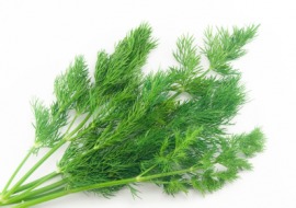 dill