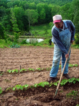 dirt farmer