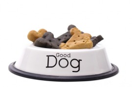 dog biscuit