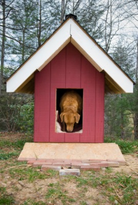 doghouse