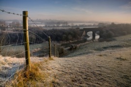 Dorset