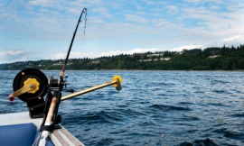 downrigger