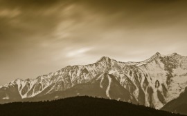 duotone