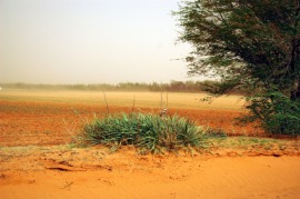 dust bowl