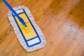 dust mop