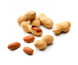 earthnut