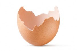 eggshell