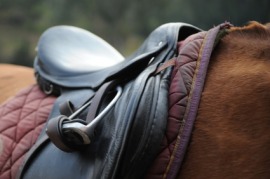 English saddle