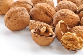 English walnut