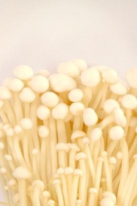 enoki